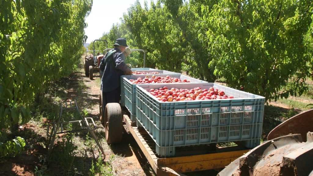 how to become a supplier to woolworths how to become a supplier to woolworths