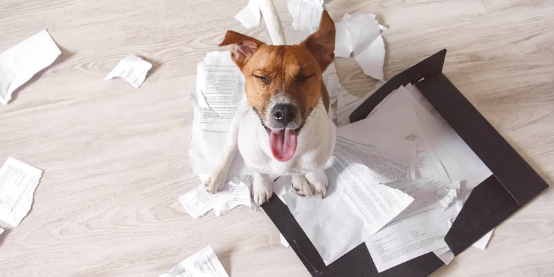 My dog ate my roster - and other reasons your employees are late