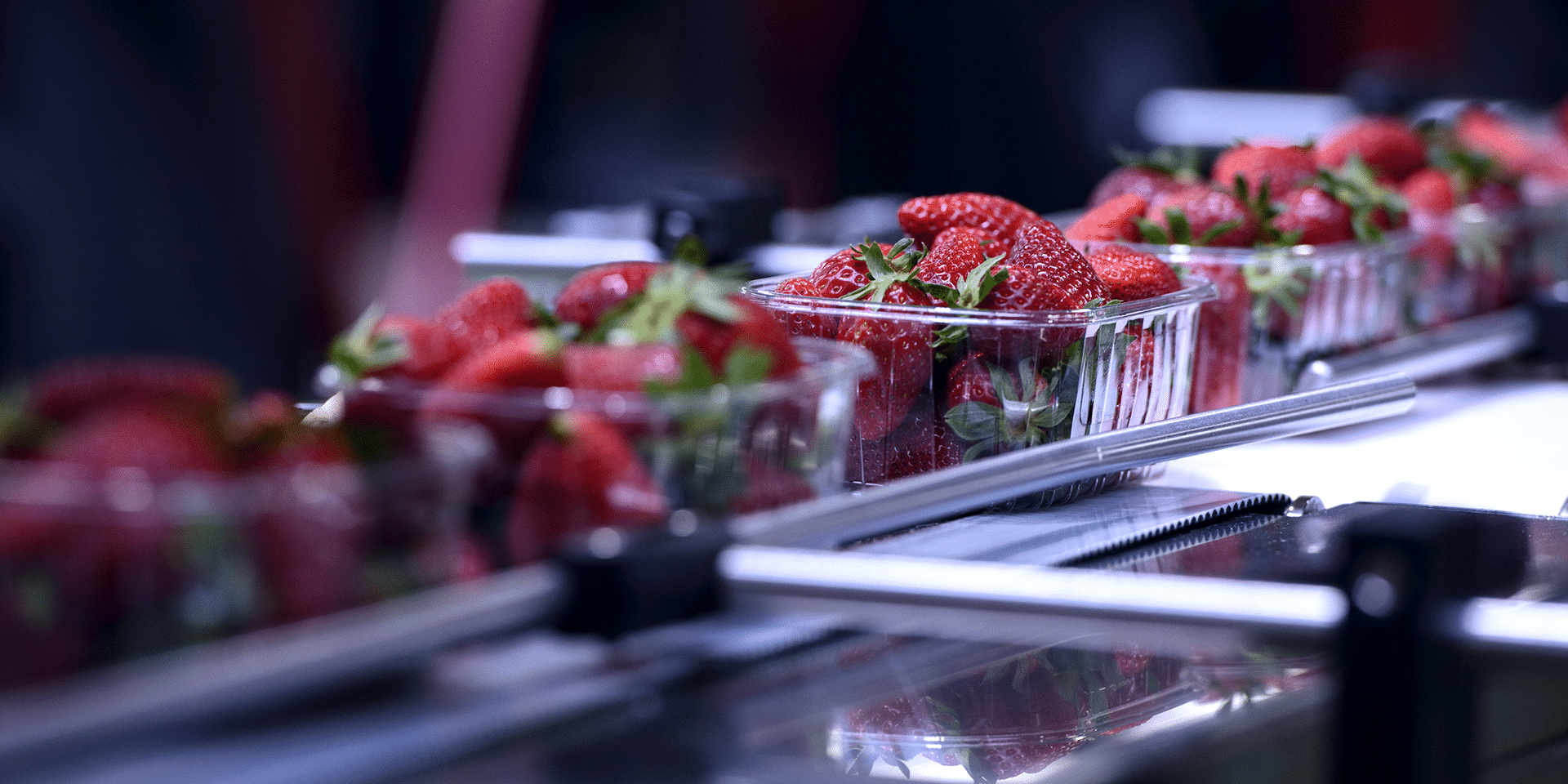 Workforce Management Software - Food Processing & FMCG Roubler
